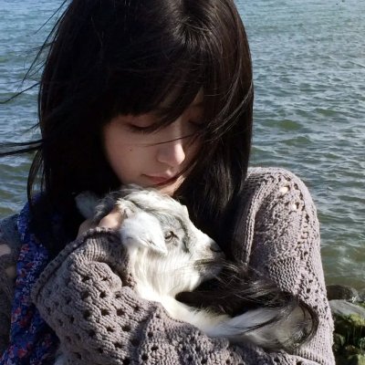 律政英雄特别版 海报